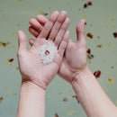 Clarity Blend 甜夢沐浴鹽 (Sweet Dream Bath Salts)